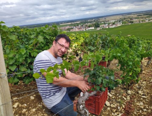 Rencontre entre Beaune et Dijon avec le vigneron autodidacte Manuel Olivier