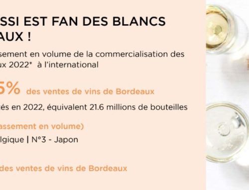 Les belges, champions du monde de la consommation de vins de Bordeaux blancs